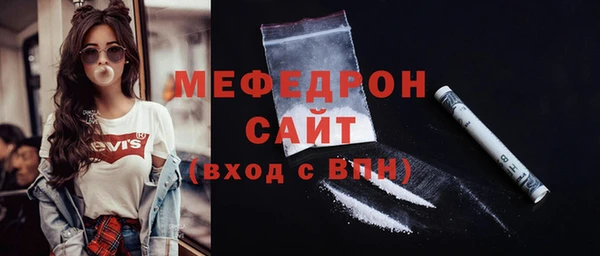 индика Богородицк