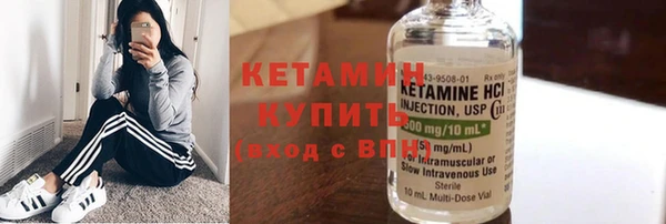 индика Богородицк
