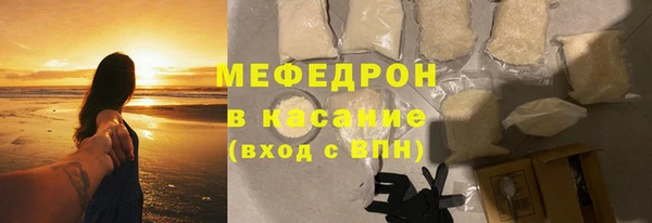 индика Богородицк
