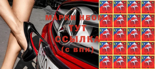 индика Богородицк