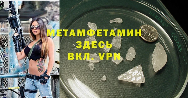 индика Богородицк