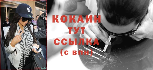 бошки Бородино