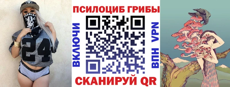 Псилоцибиновые грибы MAGIC MUSHROOMS  купить наркоту  Невель 
